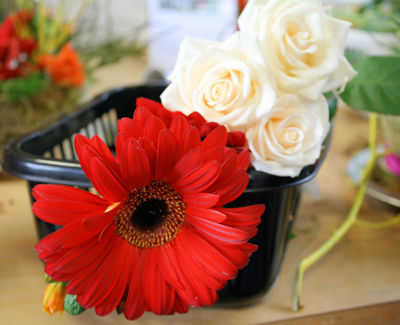 Foto 48 uit Rkregenboog25_3_09