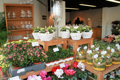 Foto 228 uit WINKELSBeverwaard