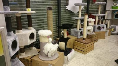 Foto 28 uit Dieren Zaak Catdox