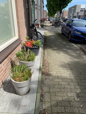 Foto 25 uit Rondje Beverwaard 2026