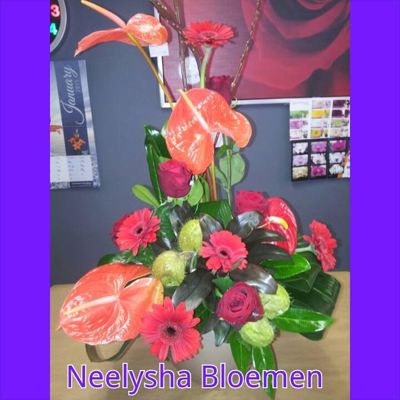 Foto 285 uit NeelyshaBloemen