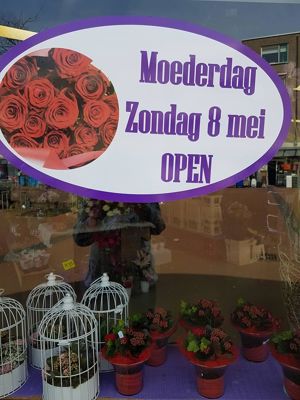 Foto 90 uit NeelyshaBloemen