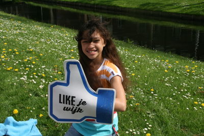 Foto 120 uit Koningsdag 26-04-14