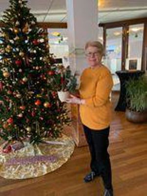 Foto 18 uit Kerst Stukjes Maken