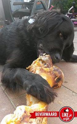 Foto 37 uit LIKEJEWIJK FOTO'S_2