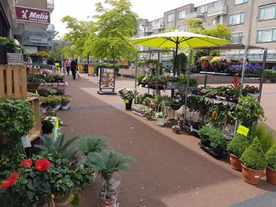 Foto 342 uit NeelyshaBloemen