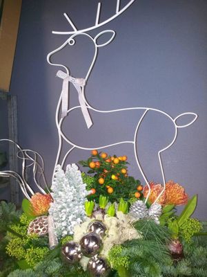 Foto 316 uit NeelyshaBloemen