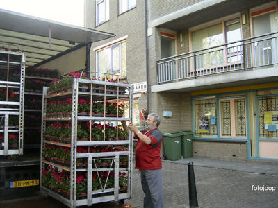 Foto 21 uit opzomeren 2005