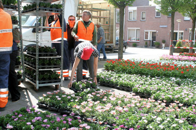 Foto 37 uit Opzoomeren20-05