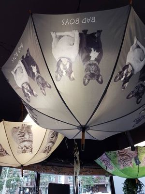 Foto 223 uit NeelyshaBloemen