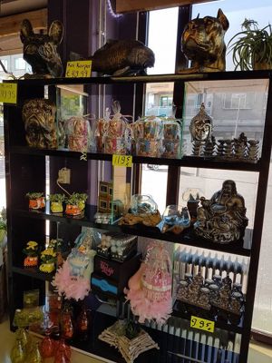 Foto 151 uit NeelyshaBloemen