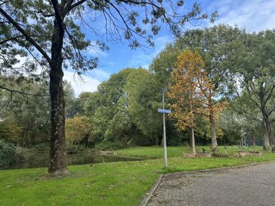 Foto 47 uit X-Herfst Verschillende jaren  2026