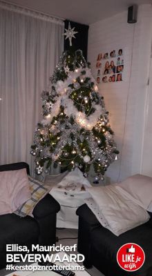 Foto 11 uit LIKEJEWIJK-2016