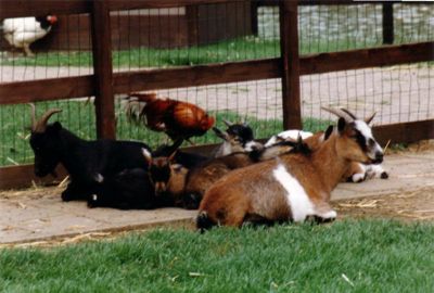 Foto 27 uit BouwStormpolder87