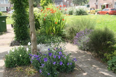 Foto 9 uit TropischeTuin9-7-16