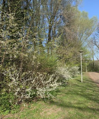 Foto 4 uit Lente En Zomer 2022