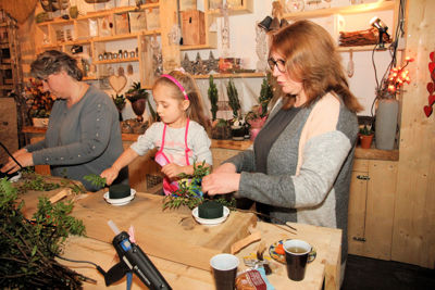 Foto 339 uit Workshops-Bloemen