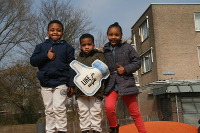 Foto 18 uit GekleurdeBollen12-3