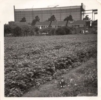 Foto 126 uit SloopEnOpbouwWIJK