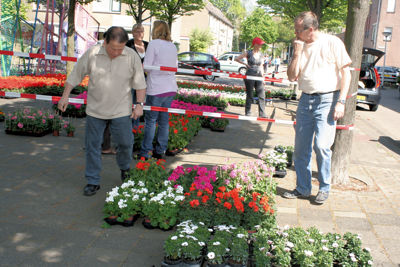 Foto 56 uit Opzoomeren20-05