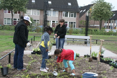 Foto 53 uit Tropische Buurttuin