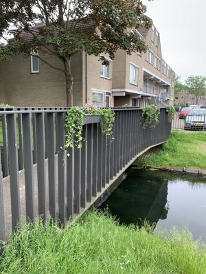 Foto 24 uit PlantenAlerdincksingel