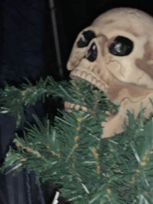 Foto 13 uit Halloween30-10-21