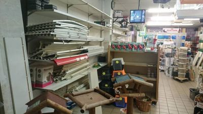 Foto 5 uit Dieren Zaak Catdox