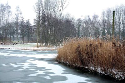 Foto 66 uit WinterIn Beverwaard