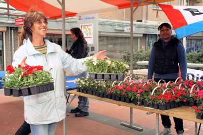 Foto 79 uit OpzoomerenPlantjes