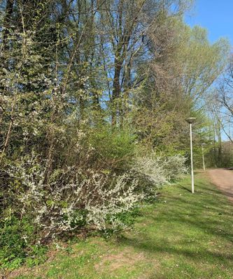 Foto 209 uit Rondje Beverwaard 2026