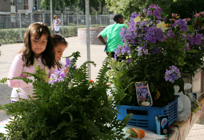 Foto 219 uit Wijkfeest12-09-2009