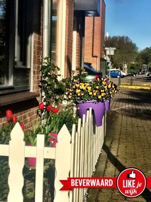 Foto 51 uit LIKEJEWIJK-2016