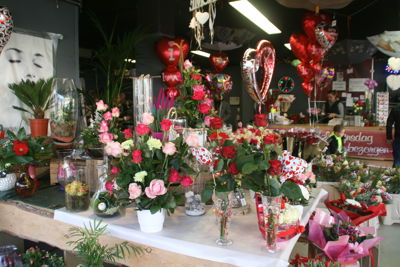 Foto 73 uit 14-2-17Valentijndag