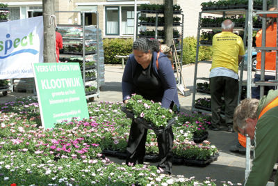 Foto 36 uit Opzoomeren20-05