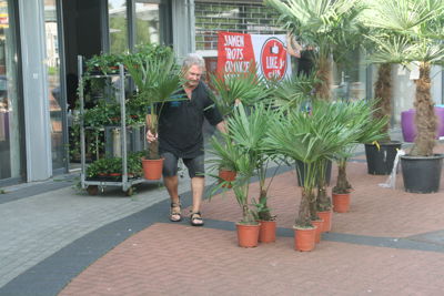 Foto 6 uit HippePlantenBakken