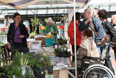 Foto 13 uit PlantenRuilBeurs24_4