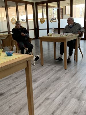 Foto 7 uit Muziek Verzoekjes