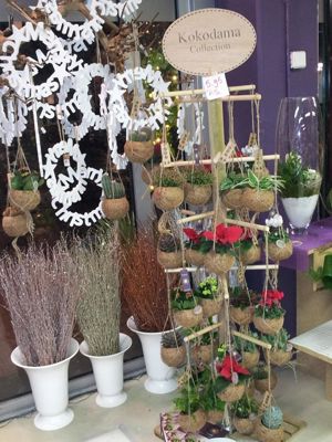 Foto 31 uit NeelyshaBloemen