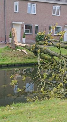 Foto 22 uit StratenBEVERWAARD