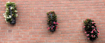 Foto 7 uit Croystraat-Gezellig