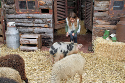 Foto 76 uit LikeJeWijkfeest14-9