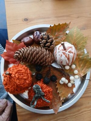 Foto 3 uit Herfst Stukjes maken bij Buurtsteunpunt Neercannenplaats Beverwaard 20-10-26