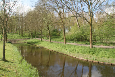 Foto 445 uit StratenBEVERWAARD