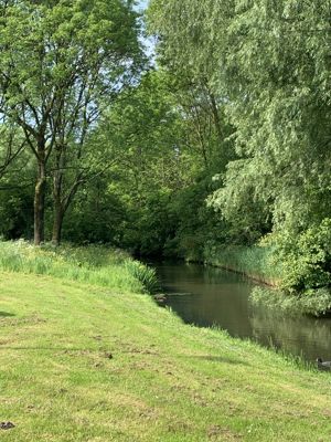 Foto 156 uit Rondje Beverwaard 2026