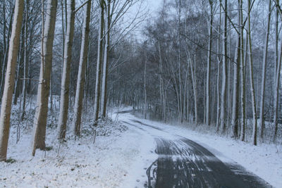 Foto 222 uit WinterIn Beverwaard