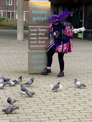 Foto 59 uit Sinterklaas 2022