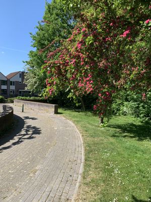 Foto 22 uit Lente En Zomer 2022