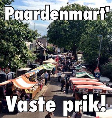 Foto 8 uit Paardenmarkt25-6