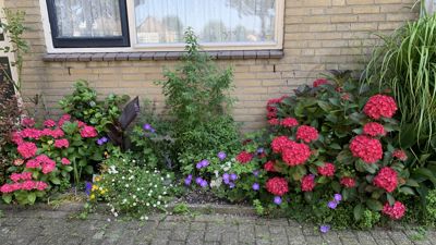 Foto 341 uit Rondje Beverwaard 2026